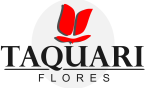 Floricultura Taquari Flores