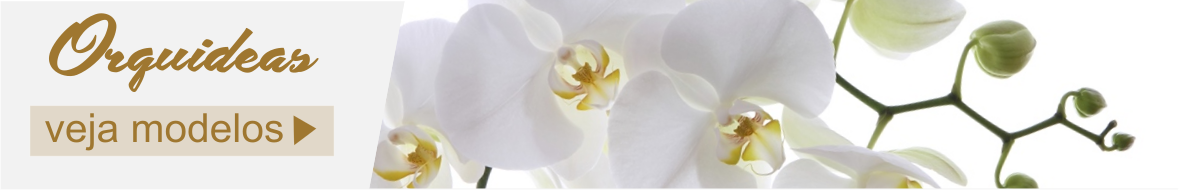 Em nossa Floricultura A Orquídea