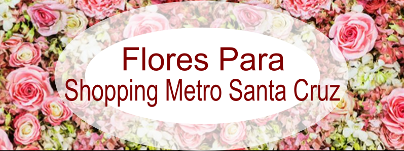floricultura shopping Metrô Santa Cruz