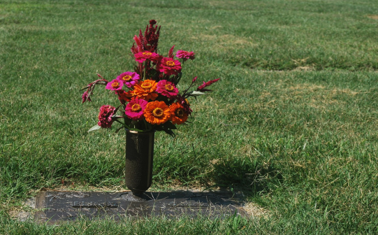 que flores levar no cemiterio