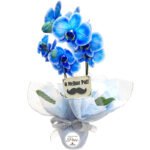 Presente-Dia-dos-pais-orquidea-azul.jpg