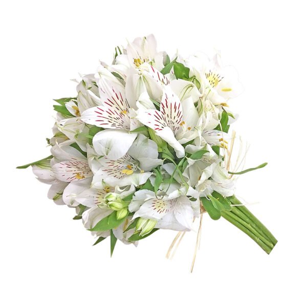 Buquê de Asltromelias Brancas - Floricultura Taquari Flores