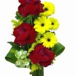 imagens-novas-036_7488.jpg