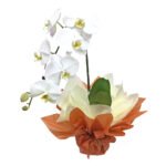 orquidea-cascata2.jpg