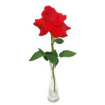 rosa-vermelha-solitario3.jpg