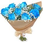 Buque 8 Rosas Azuis